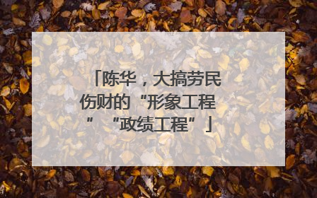 陈华，大搞劳民伤财的“形象工程”“政绩工程”