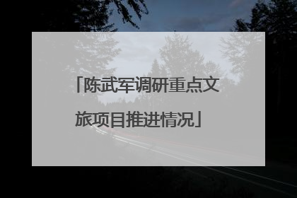 陈武军调研重点文旅项目推进情况