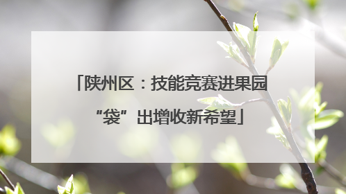 陕州区：技能竞赛进果园 “袋”出增收新希望