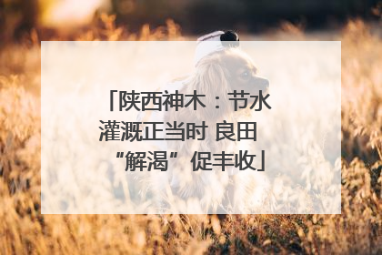 陕西神木：节水灌溉正当时 良田“解渴”促丰收