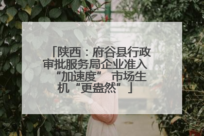 陕西：府谷县行政审批服务局企业准入“加速度” 市场生机“更盎然”