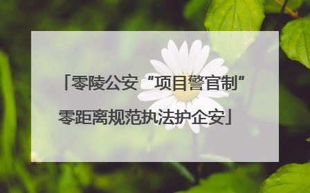 零陵公安“项目警官制”零距离规范执法护企安