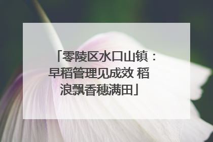 零陵区水口山镇：早稻管理见成效 稻浪飘香穗满田