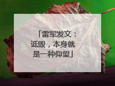 雷军发文：诋毁，本身就是一种仰望