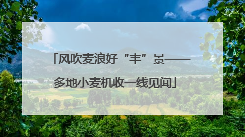 风吹麦浪好“丰”景——多地小麦机收一线见闻