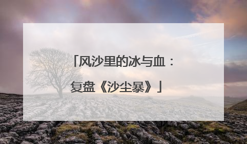 风沙里的冰与血：复盘《沙尘暴》