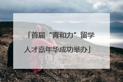 首届“青和力”留学人才嘉年华成功举办