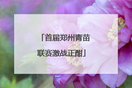 首届郑州青苗联赛激战正酣