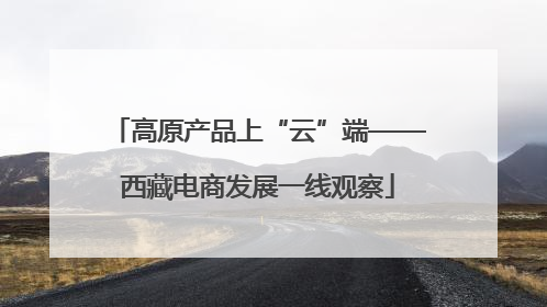 高原产品上“云”端——西藏电商发展一线观察