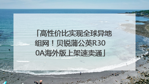 高性价比实现全球异地组网！贝锐蒲公英R300A海外版上架速卖通