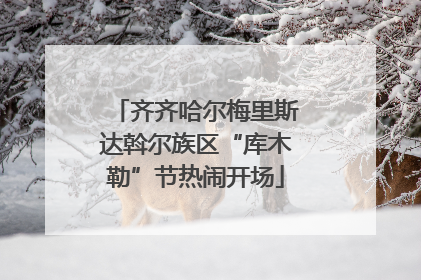 齐齐哈尔梅里斯达斡尔族区“库木勒”节热闹开场