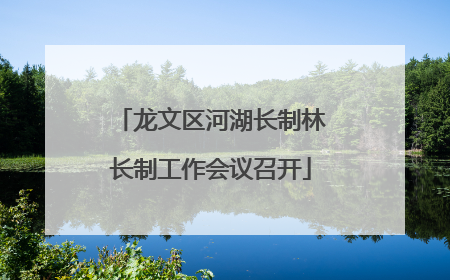龙文区河湖长制林长制工作会议召开