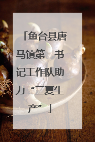 鱼台县唐马镇第一书记工作队助力“三夏生产”