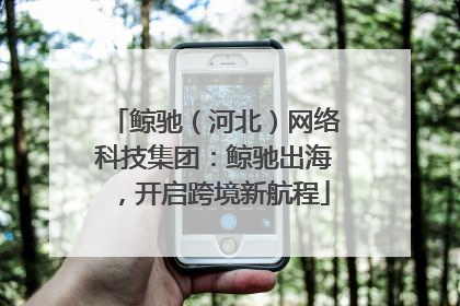鲸驰（河北）网络科技集团：鲸驰出海，开启跨境新航程