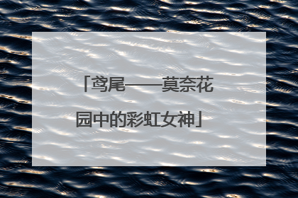 鸢尾——莫奈花园中的彩虹女神