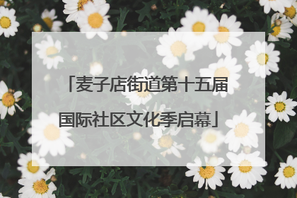 麦子店街道第十五届国际社区文化季启幕