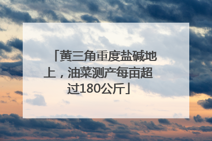 黄三角重度盐碱地上，油菜测产每亩超过180公斤