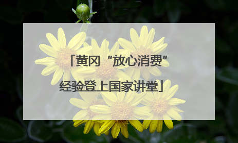 黄冈“放心消费”经验登上国家讲堂