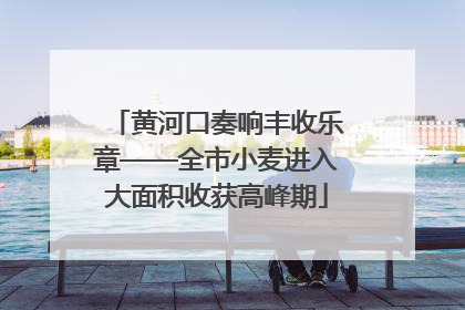 黄河口奏响丰收乐章——全市小麦进入大面积收获高峰期