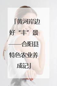 黄河岸边好“丰”景——合阳县特色农业养成记