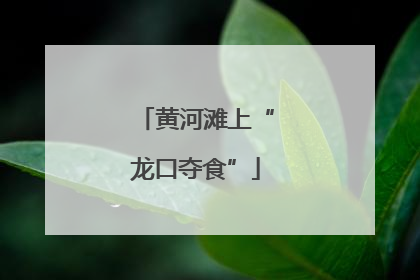 黄河滩上“龙口夺食”