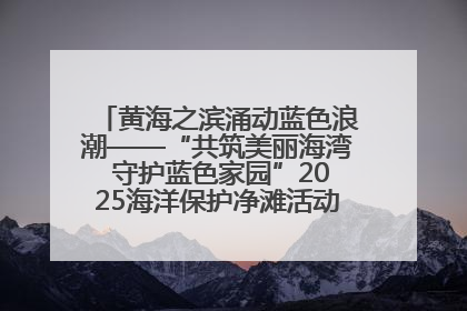 黄海之滨涌动蓝色浪潮——“共筑美丽海湾 守护蓝色家园”2025海洋保护净滩活动暨“美丽江苏—江河湖海青蓝行”海洋篇在连云港举行