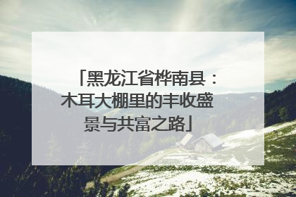 黑龙江省桦南县：木耳大棚里的丰收盛景与共富之路