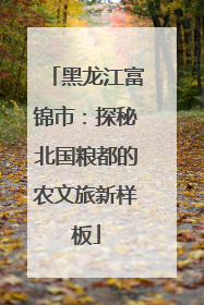黑龙江富锦市：探秘北国粮都的农文旅新样板