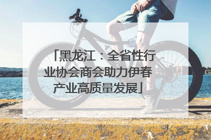 黑龙江：全省性行业协会商会助力伊春产业高质量发展