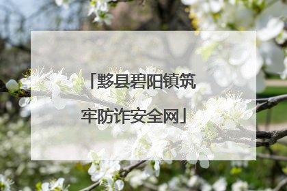 黟县碧阳镇筑牢防诈安全网