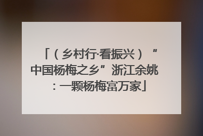 （乡村行·看振兴）“中国杨梅之乡”浙江余姚：一颗杨梅富万家