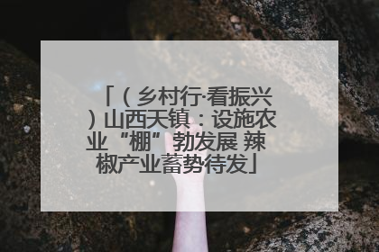 （乡村行·看振兴）山西天镇：设施农业“棚”勃发展 辣椒产业蓄势待发