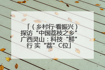 （乡村行·看振兴）探访“中国荔枝之乡”广西灵山：科技“鲜”行 实“荔”C位