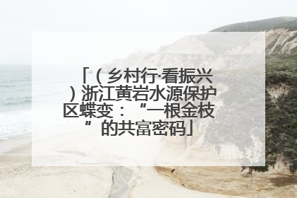 （乡村行·看振兴）浙江黄岩水源保护区蝶变：“一根金枝”的共富密码