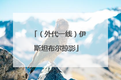 （外代一线）伊斯坦布尔掠影