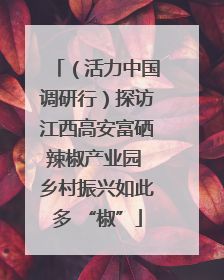 （活力中国调研行）探访江西高安富硒辣椒产业园 乡村振兴如此多 “椒”