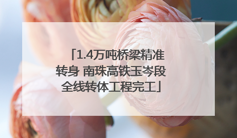 1.4万吨桥梁精准转身 南珠高铁玉岑段全线转体工程完工