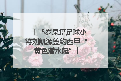 15岁泉籍足球小将刘凯源签约西甲“黄色潜水艇”
