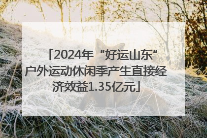 2024年“好运山东”户外运动休闲季产生直接经济效益1.35亿元