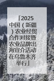 2025中国（新疆）农业经贸合作对接暨农业品牌出海宣介活动在乌鲁木齐举行