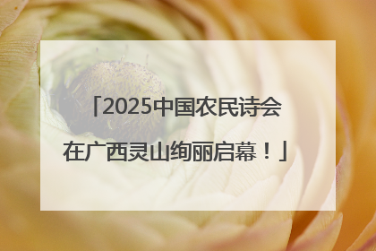 2025中国农民诗会在广西灵山绚丽启幕！