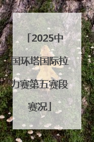 2025中国环塔国际拉力赛第五赛段赛况