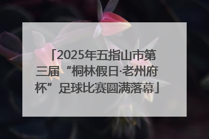 2025年五指山市第三届“桐林假日·老州府杯”足球比赛圆满落幕