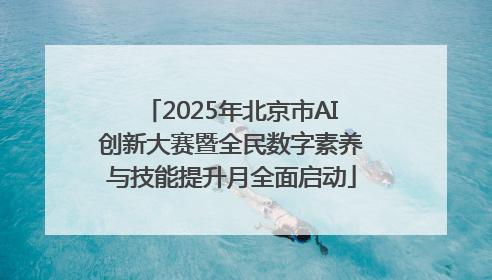 2025年北京市AI创新大赛暨全民数字素养与技能提升月全面启动