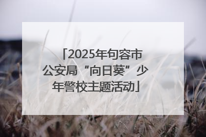 2025年句容市公安局“向日葵”少年警校主题活动