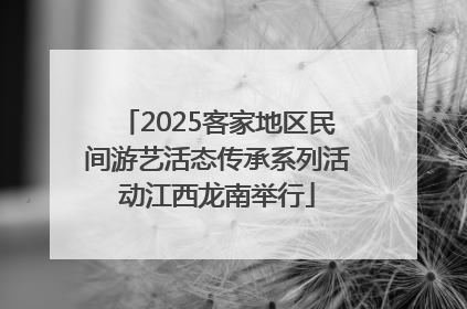 2025客家地区民间游艺活态传承系列活动江西龙南举行
