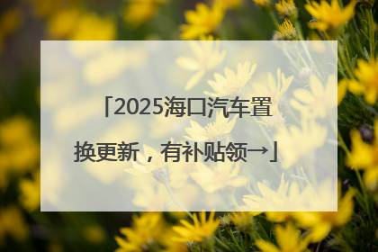 2025海口汽车置换更新，有补贴领→