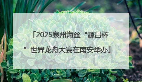 2025泉州海丝“源昌杯”世界龙舟大赛在南安举办