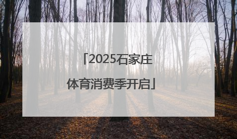 2025石家庄体育消费季开启