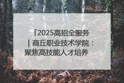 2025高招全服务｜商丘职业技术学院：聚焦高技能人才培养 谱写高质量发展篇章